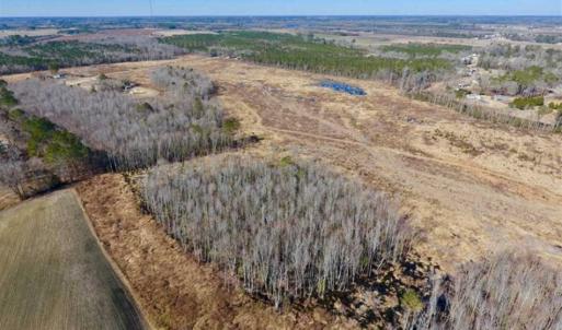 Photo of 201 Acres of Farm and Hunting Land For Sale in Pitt County NC!