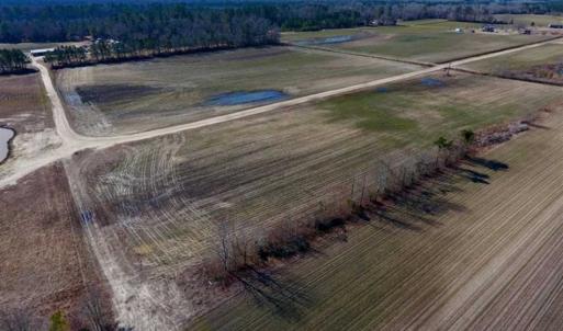 Photo of 201 Acres of Farm and Hunting Land For Sale in Pitt County NC!