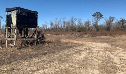 Photo of 201 Acres of Farm and Hunting Land For Sale in Pitt County NC!