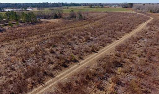 Photo of 201 Acres of Farm and Hunting Land For Sale in Pitt County NC!