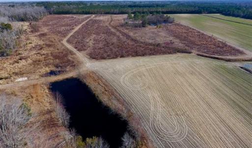 Photo of 201 Acres of Farm and Hunting Land For Sale in Pitt County NC!