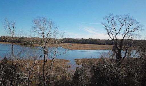 Photo of 47 Acres on Deep Water Tidal Waters in Isle of Wight County Virginia!