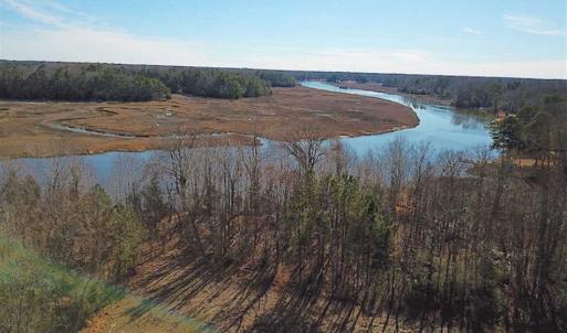 Photo of 47 Acres on Deep Water Tidal Waters in Isle of Wight County Virginia!