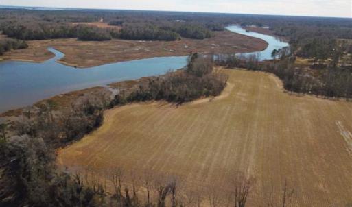 Photo of 47 Acres on Deep Water Tidal Waters in Isle of Wight County Virginia!