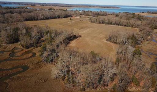 Photo of 47 Acres on Deep Water Tidal Waters in Isle of Wight County Virginia!