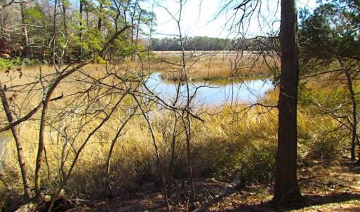 Photo of 47 Acres on Deep Water Tidal Waters in Isle of Wight County Virginia!