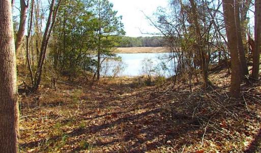 Photo of 47 Acres on Deep Water Tidal Waters in Isle of Wight County Virginia!