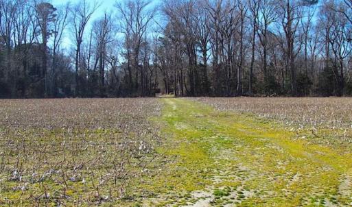 Photo of 47 Acres on Deep Water Tidal Waters in Isle of Wight County Virginia!