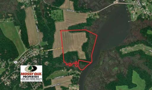 Photo of 47 Acres on Deep Water Tidal Waters in Isle of Wight County Virginia!