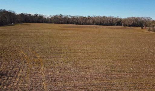Photo of 47 Acres on Deep Water Tidal Waters in Isle of Wight County Virginia!