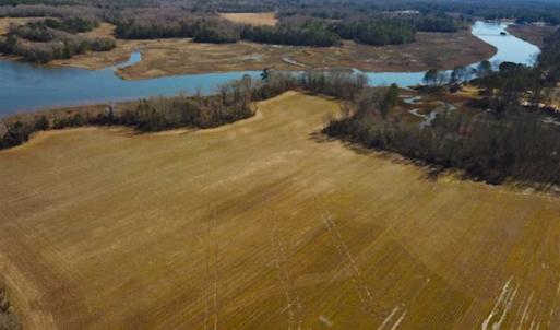 Photo of 47 Acres on Deep Water Tidal Waters in Isle of Wight County Virginia!