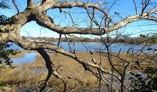 Photo of 47 Acres on Deep Water Tidal Waters in Isle of Wight County Virginia!