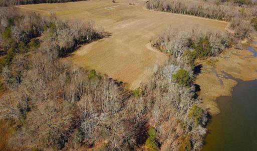 Photo of 47 Acres on Deep Water Tidal Waters in Isle of Wight County Virginia!