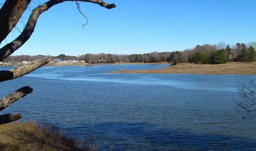 Photo of 47 Acres on Deep Water Tidal Waters in Isle of Wight County Virginia!