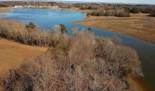 Photo of 47 Acres on Deep Water Tidal Waters in Isle of Wight County Virginia!