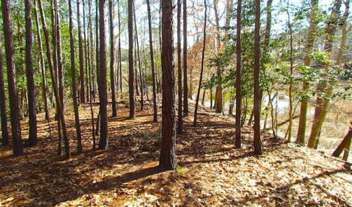 Photo of 47 Acres on Deep Water Tidal Waters in Isle of Wight County Virginia!