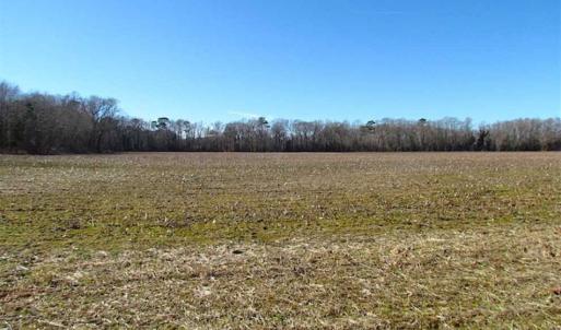 Photo of 47 Acres on Deep Water Tidal Waters in Isle of Wight County Virginia!