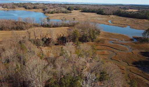 Photo of 47 Acres on Deep Water Tidal Waters in Isle of Wight County Virginia!