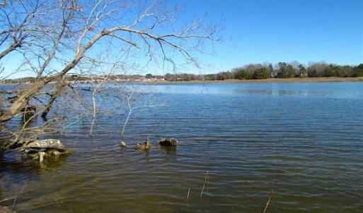 Photo of 47 Acres on Deep Water Tidal Waters in Isle of Wight County Virginia!