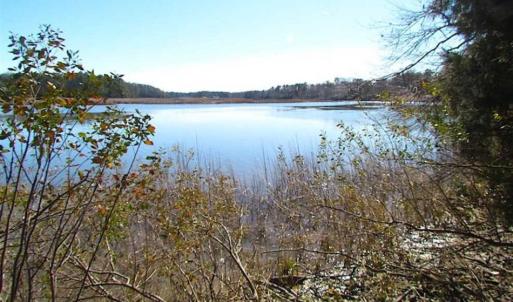 Photo of 47 Acres on Deep Water Tidal Waters in Isle of Wight County Virginia!