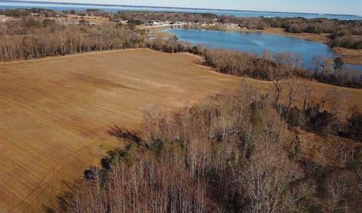 Photo of 47 Acres on Deep Water Tidal Waters in Isle of Wight County Virginia!