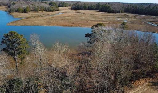 Photo of 47 Acres on Deep Water Tidal Waters in Isle of Wight County Virginia!