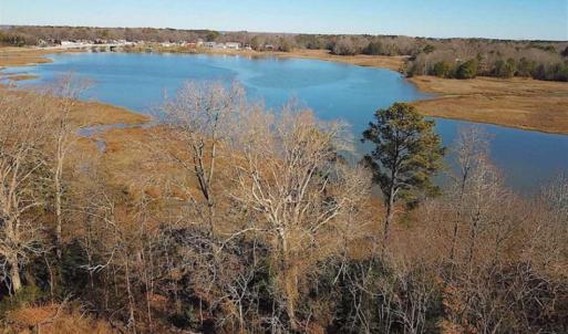Photo of 47 Acres on Deep Water Tidal Waters in Isle of Wight County Virginia!