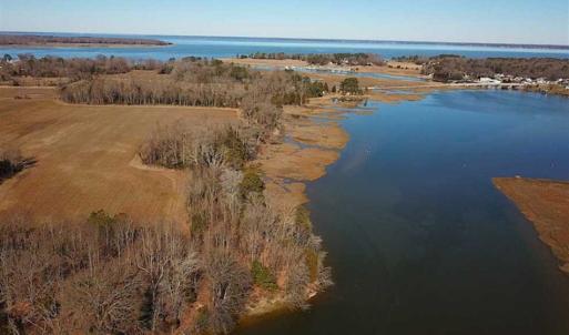Photo of 47 Acres on Deep Water Tidal Waters in Isle of Wight County Virginia!