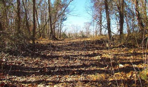 Photo of 47 Acres on Deep Water Tidal Waters in Isle of Wight County Virginia!