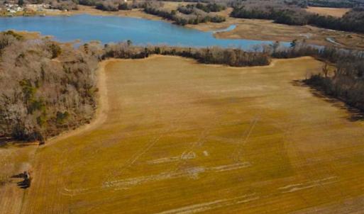 Photo of 47 Acres on Deep Water Tidal Waters in Isle of Wight County Virginia!