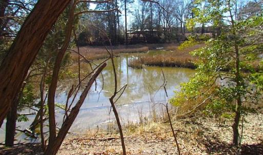 Photo of 47 Acres on Deep Water Tidal Waters in Isle of Wight County Virginia!
