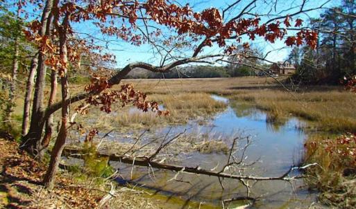 Photo of 47 Acres on Deep Water Tidal Waters in Isle of Wight County Virginia!
