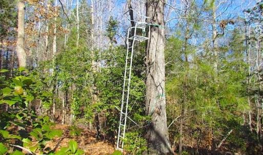 Photo of 47 Acres on Deep Water Tidal Waters in Isle of Wight County Virginia!