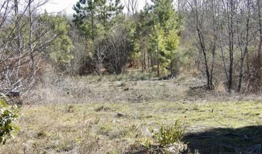 Photo of 35 acres of Hunting and Recreational Land For Sale in Isle of Wight County, VA!