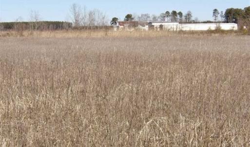 Photo of 35 acres of Hunting and Recreational Land For Sale in Isle of Wight County, VA!