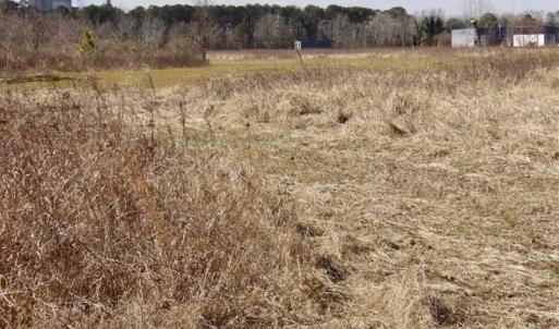 Photo of 35 acres of Hunting and Recreational Land For Sale in Isle of Wight County, VA!