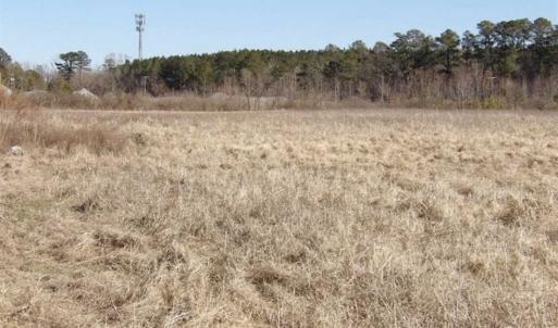 Photo of 35 acres of Hunting and Recreational Land For Sale in Isle of Wight County, VA!