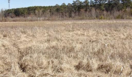 Photo of 35 acres of Hunting and Recreational Land For Sale in Isle of Wight County, VA!