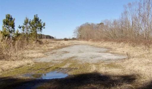 Photo of 35 acres of Hunting and Recreational Land For Sale in Isle of Wight County, VA!
