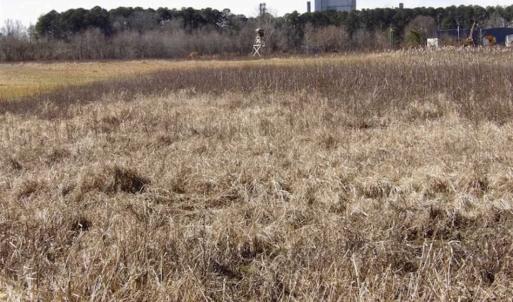 Photo of 35 acres of Hunting and Recreational Land For Sale in Isle of Wight County, VA!