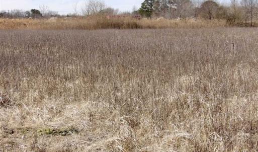 Photo of 35 acres of Hunting and Recreational Land For Sale in Isle of Wight County, VA!