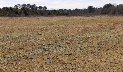 Photo of 35 acres of Hunting and Recreational Land For Sale in Isle of Wight County, VA!
