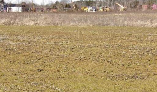 Photo of 35 acres of Hunting and Recreational Land For Sale in Isle of Wight County, VA!