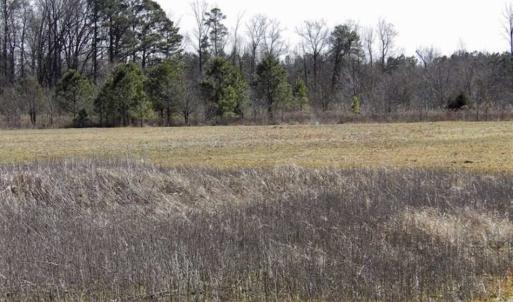 Photo of 35 acres of Hunting and Recreational Land For Sale in Isle of Wight County, VA!