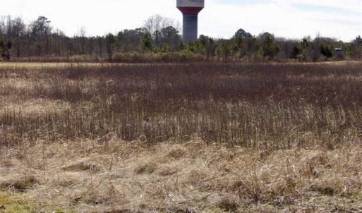 Photo of 35 acres of Hunting and Recreational Land For Sale in Isle of Wight County, VA!
