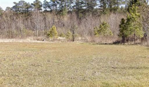 Photo of 35 acres of Hunting and Recreational Land For Sale in Isle of Wight County, VA!