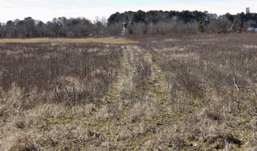 Photo of 35 acres of Hunting and Recreational Land For Sale in Isle of Wight County, VA!