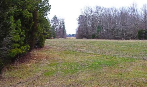 Photo of 21.87 + / - ac Timberland / Farmland for Sale in Chatham County, NC
