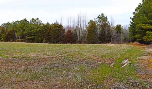 Photo of 21.87 + / - ac Timberland / Farmland for Sale in Chatham County, NC
