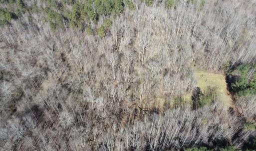Photo of 21.87 + / - ac Timberland / Farmland for Sale in Chatham County, NC